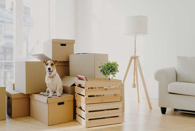 Best Packers And Movers Services in Mahasamund