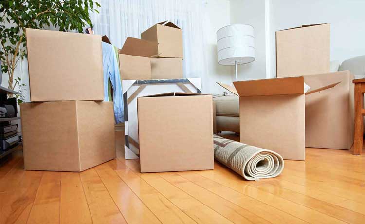 Relocation Services in Raipur