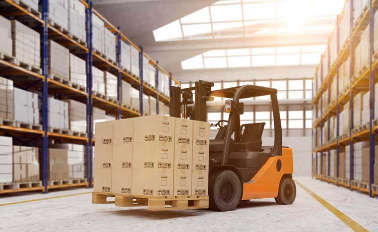 Warehousing Storage Services in Raipur